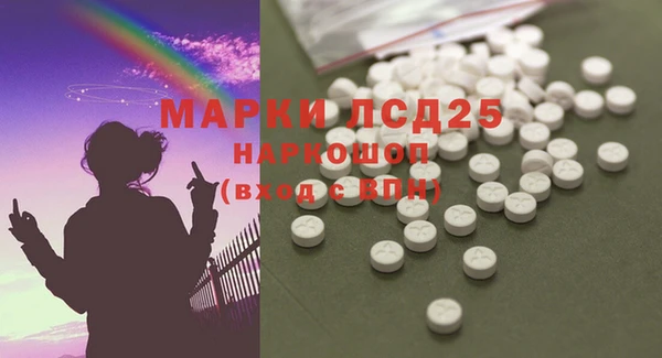 ПСИЛОЦИБИНОВЫЕ ГРИБЫ Лабытнанги