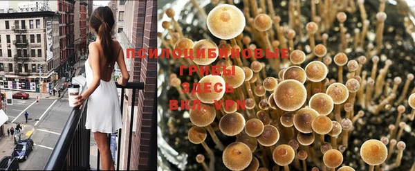 героин Абаза