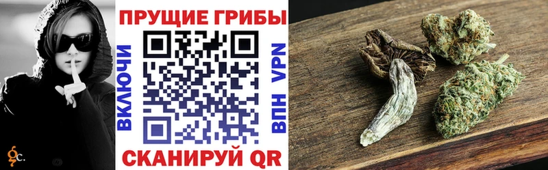 Галлюциногенные грибы ЛСД  Усть-Катав 